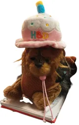 Duo Mai - Gorrito De Cumpleaños Rosado Para Mascotas (19746)