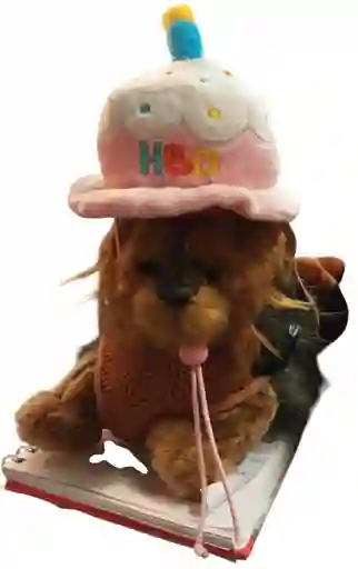 Duo Mai - Gorrito De Cumpleaños Rosado Para Mascotas (19746)