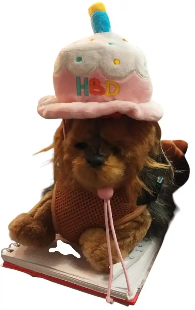 Duo Mai - Gorrito De Cumpleaños Rosado Para Mascotas (19746)