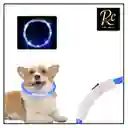 Collar Usb Camuflaje Led Azul Para Perros | Brillante, Impermeable Y Recargable | ¡seguridad Nocturna Y Estilo Para Tu Mascota En Chile!
