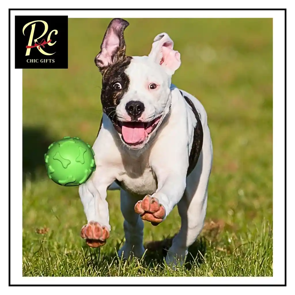 Pelota Azul Juguete Interactivo Para Perros | Resistente, Sonajero | ¡diversión Asegurada Y Salud Dental! Regalos Chic