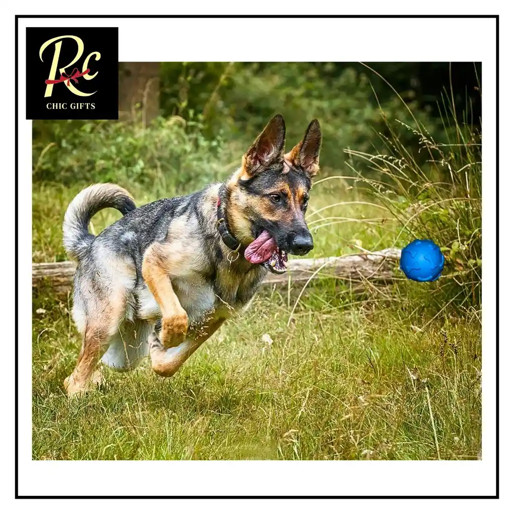 Pelota Azul Juguete Interactivo Para Perros | Resistente, Sonajero | ¡diversión Asegurada Y Salud Dental! Regalos Chic
