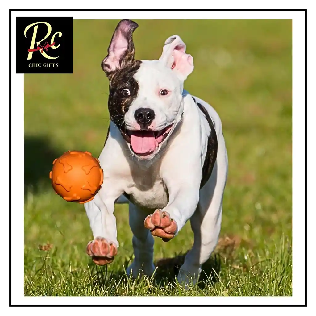 Pelota Naranjo Juguete Interactivo Para Perros | Resistente, Sonajero | ¡diversión Asegurada Y Salud Dental! Regalos Chic