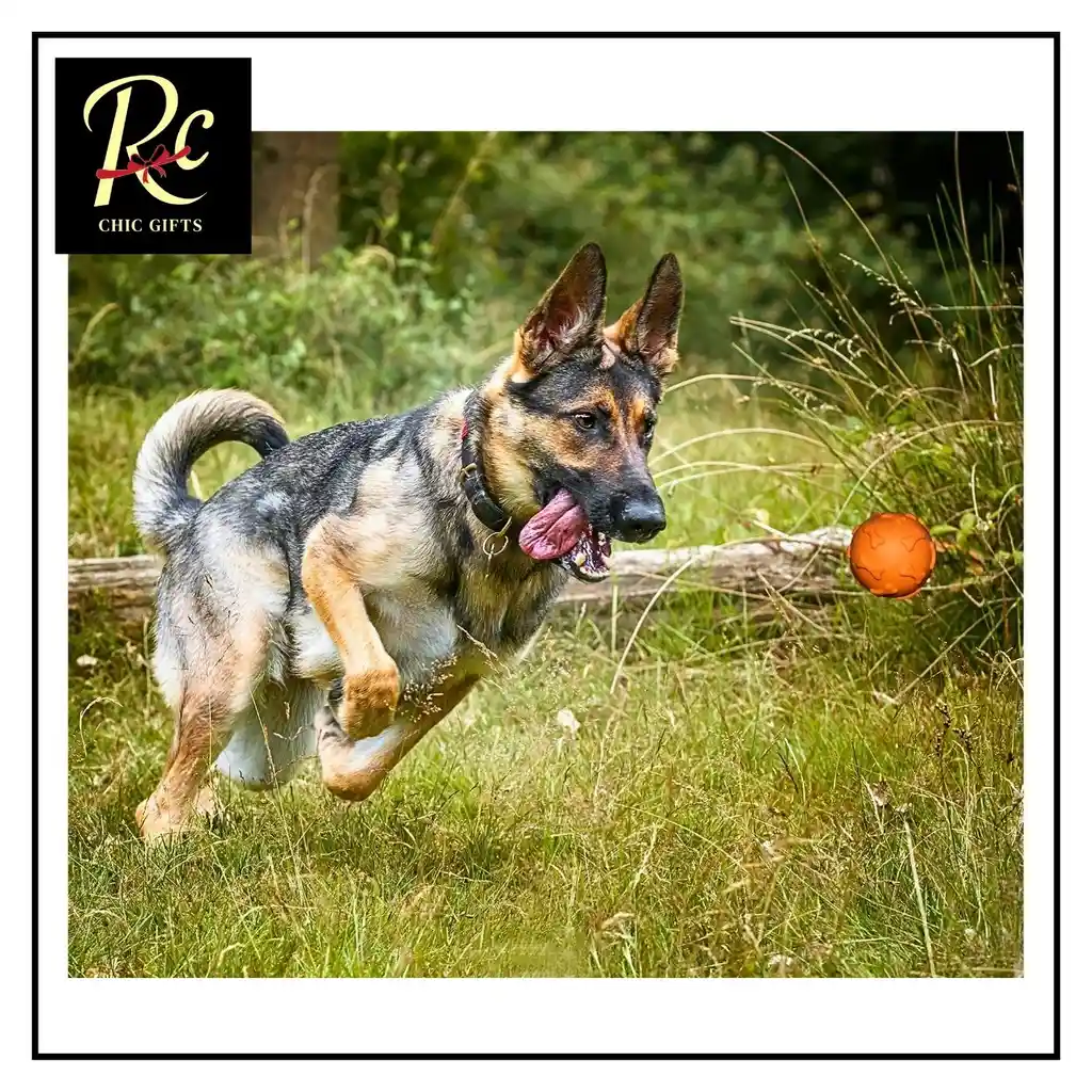 Pelota Naranjo Juguete Interactivo Para Perros | Resistente, Sonajero | ¡diversión Asegurada Y Salud Dental! Regalos Chic
