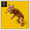 Pelota Naranjo Juguete Interactivo Para Perros | Resistente, Sonajero | ¡diversión Asegurada Y Salud Dental! Regalos Chic