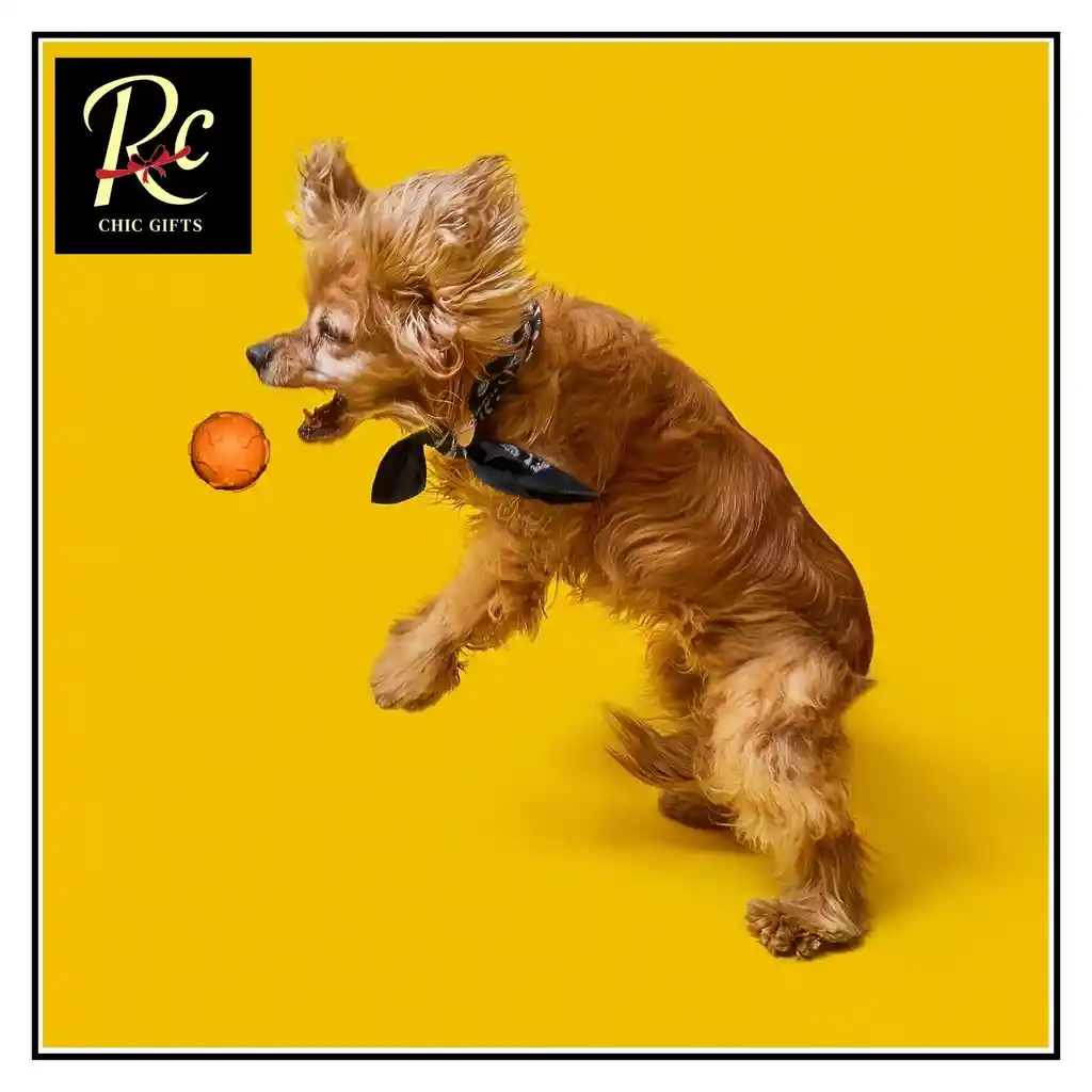 Pelota Naranjo Juguete Interactivo Para Perros | Resistente, Sonajero | ¡diversión Asegurada Y Salud Dental! Regalos Chic