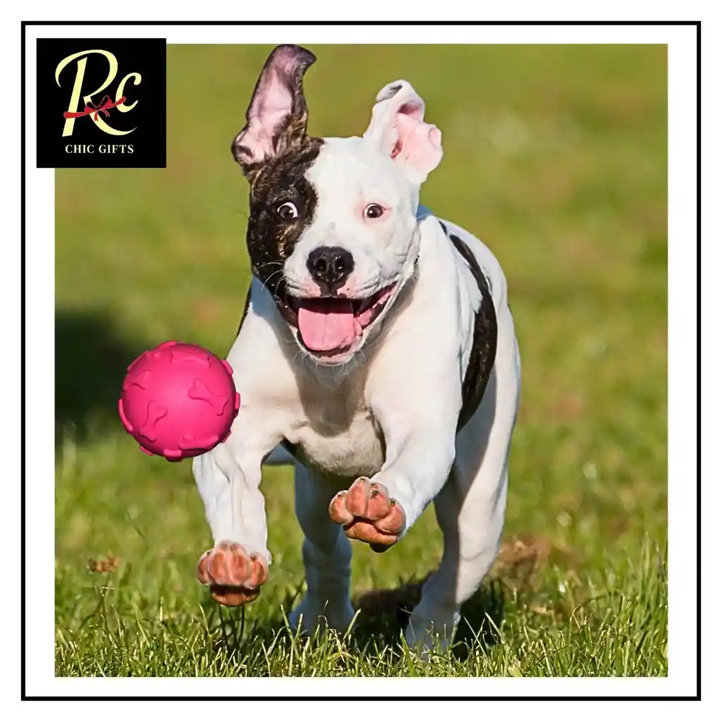 Pelota Rosada Juguete Interactivo Para Perros | Resistente, Sonajero | ¡diversión Asegurada Y Salud Dental! Regalos Chic
