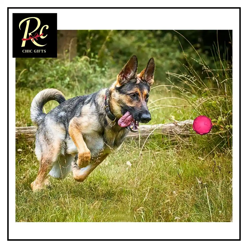 Pelota Rosada Juguete Interactivo Para Perros | Resistente, Sonajero | ¡diversión Asegurada Y Salud Dental! Regalos Chic