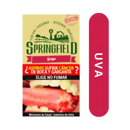 Springfield Grape 40g