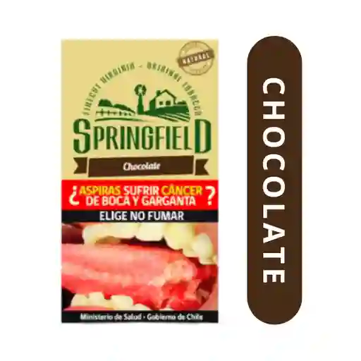 Springfield Chocolate 40g