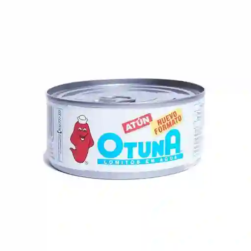 Atun En Trozo De Agua