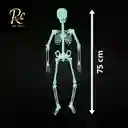 Esqueleto Decorativo Brillante 75cm | Luminoso Halloween, Día Muertos | ¡ambiente Temático "regalos Chic"!