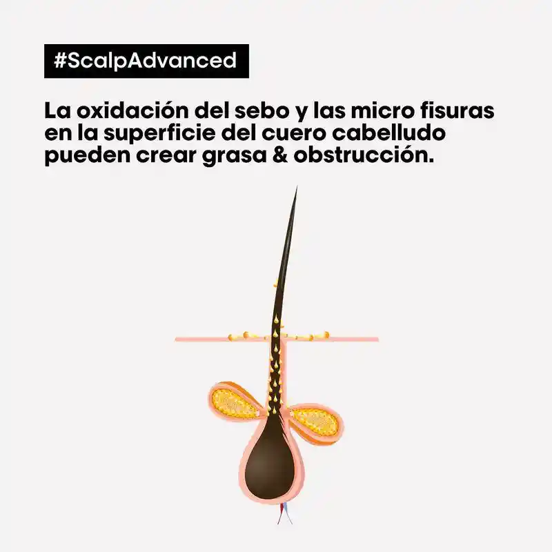Máscara 2 En 1 Limpieza Profunda Cabello Graso Scalp Advanced 250ml