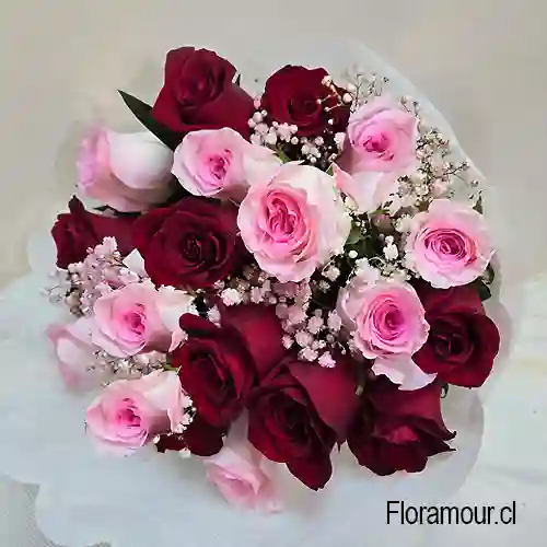 Gloria – Ramo De 18 Rosas