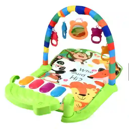 Gimnasio Selva Con Piano