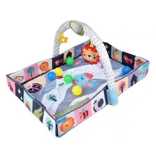 Gimnasio Actividades Tipo Corral