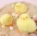 Squishy Pollito Esponjoso Y Peludito. Ultrasuave.