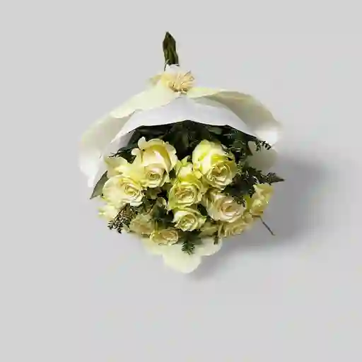 Rosas Blancas