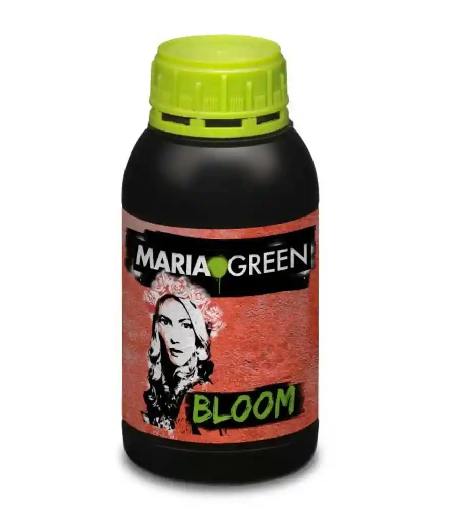 Bloom 500ml Maria Green