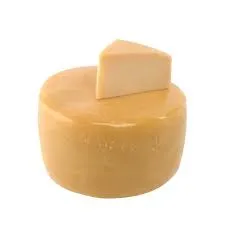 Queso Parmesano Granel Trozo