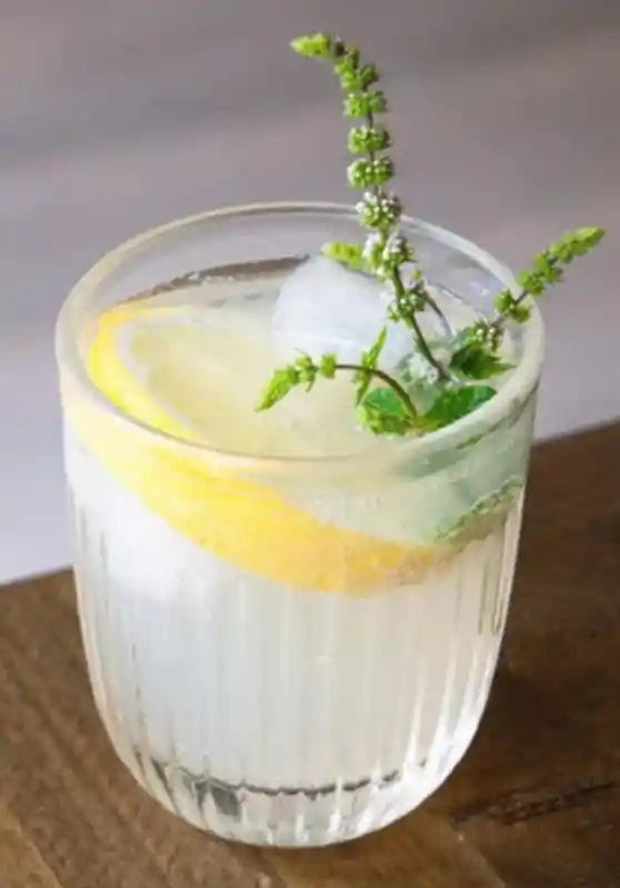 Set 6 Vasos Ouessant 260ml