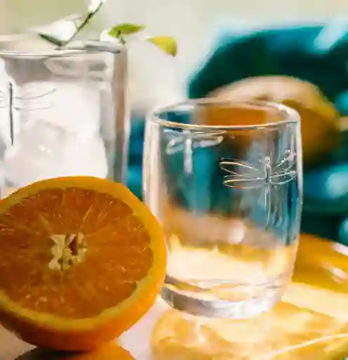 Set 6 Vasos Libelula