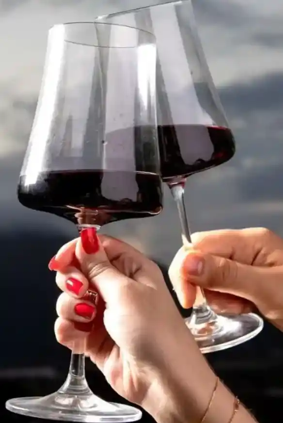 Bohemia Set 6 Copas Vino Tinto Xtra 560 Ml