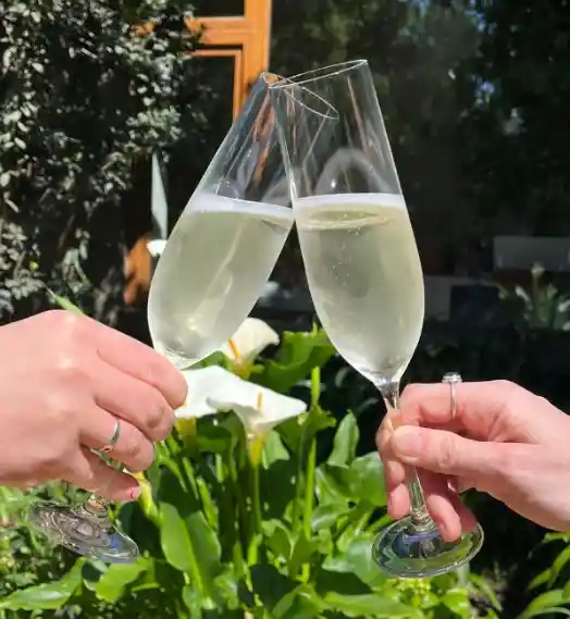 Bohemia Set 6 Copas Champagne Viola