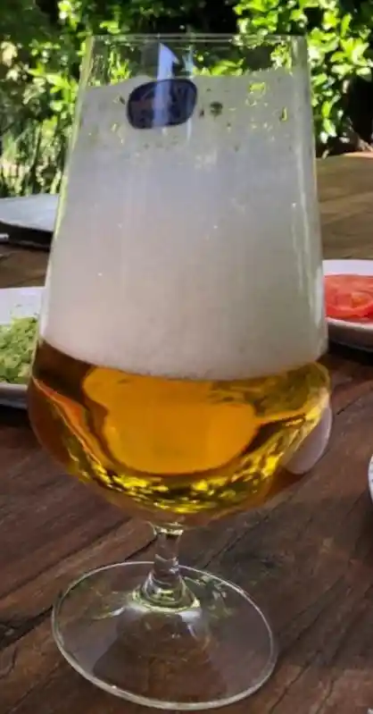 Bohemia Set 6 Vasos Cerveza Sandra