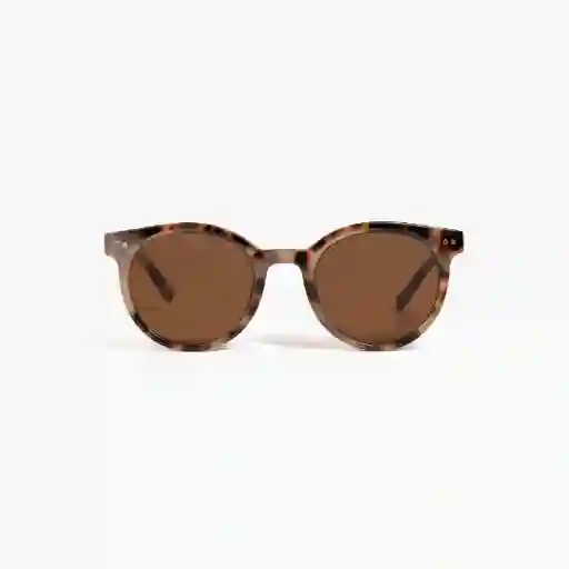 Lentes De Sol Redondos Clásicos Camel