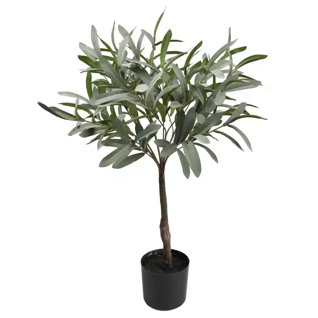 Ripley Home-planta Olivo 75cm