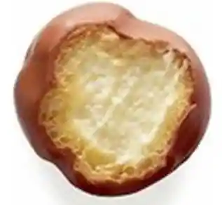 Profiterol Bañado En Chocolate