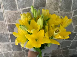 Ramo Lilium Amarillo X10