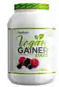 Vegan Gainer Mass 3 Lbs - Foodtech Berries