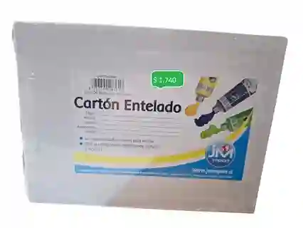 Cartón Entelado Multipinturas 15x20 Cartdan006 Jm