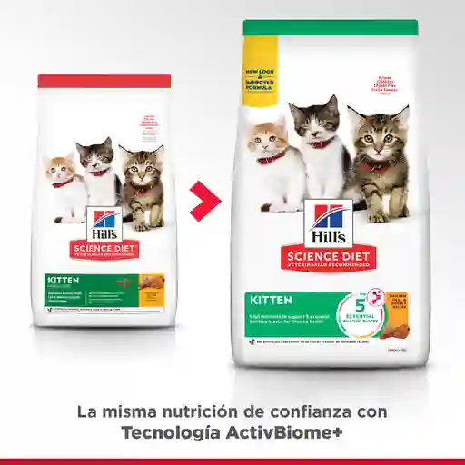 Alimento Gato Hills Kitten 3.17kg