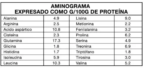 Proteína 4chef 100% Whey Protein 2 Lbs - Foodtech