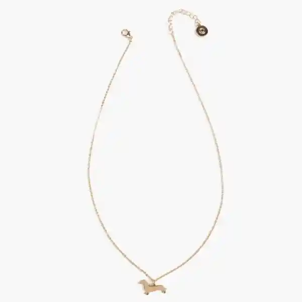 Collar Perro Salchicha Dorado