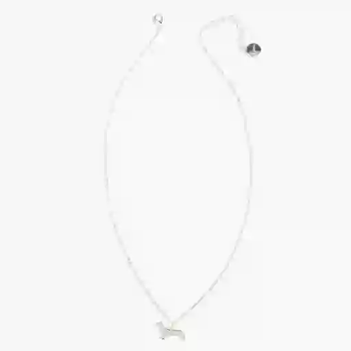 Collar Perro Salchicha Plateado