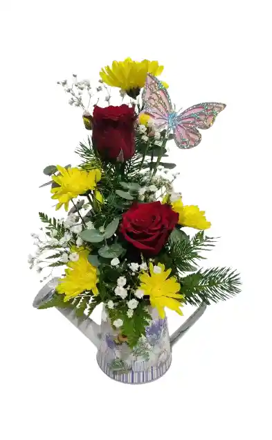 Regadera Con Rosas Y Maules