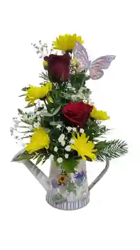 Regadera Con Rosas Y Maules