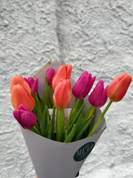 10 Varas De Tulipanes