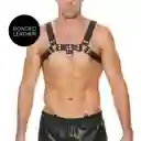 Arnés De Pecho Bulldog - Negro