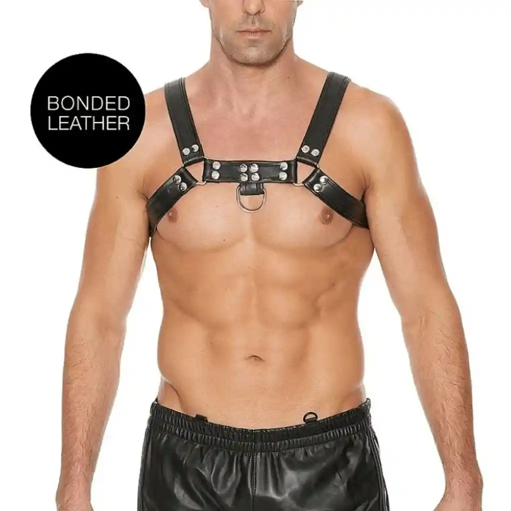 Arnés De Pecho Bulldog - Negro