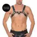 Arnés De Pecho Bulldog - Azul S / M