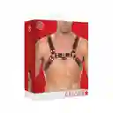 Arnés De Pecho Bulldog - Rojo L / Xl