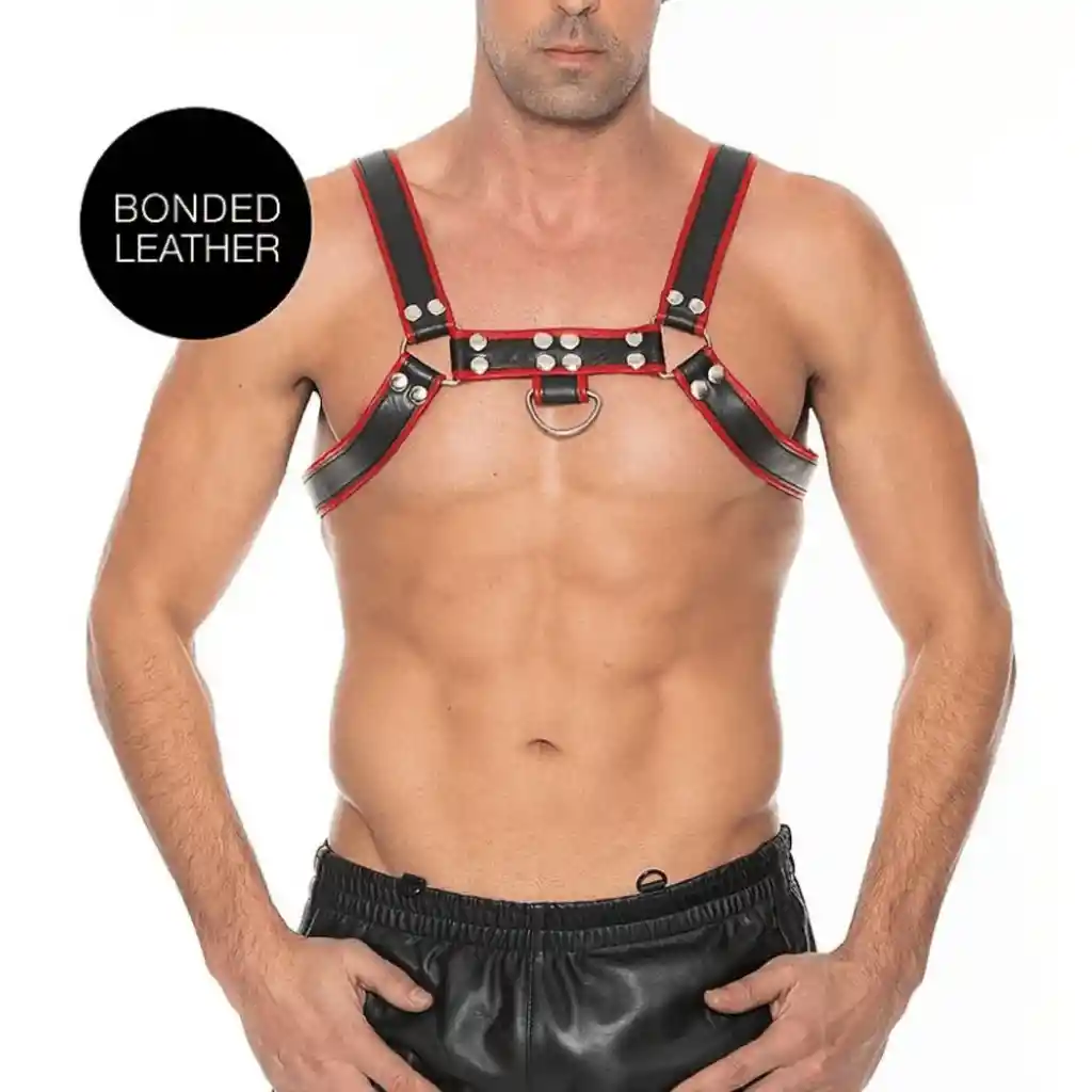 Arnés De Pecho Bulldog - Rojo L / Xl