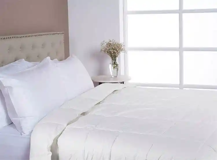 Plumon Microgel 2pl.