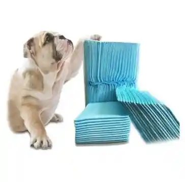 Sabanilla De Entrenamiento 60x60 70un