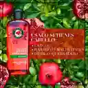 Shampoo Herbal Essences Pelo Largo: ¡fortalece Tu Cabello Para Crecer!